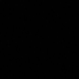 Meet your Posher, Dominique